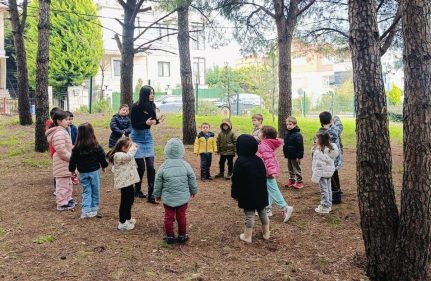 DOĞANIN KALBİ: ORMANLAR